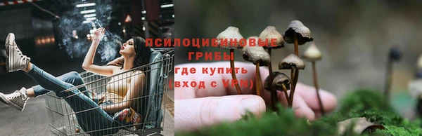 кокс Баксан