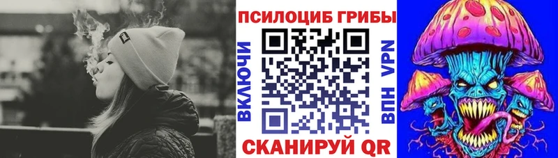 Купить  Семилуки  Псилоцибиновые грибы Cubensis 